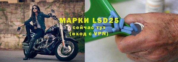 ГАЛЛЮЦИНОГЕННЫЕ ГРИБЫ Наволоки