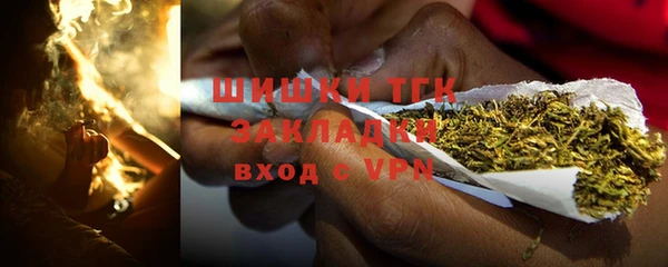ГАЛЛЮЦИНОГЕННЫЕ ГРИБЫ Наволоки