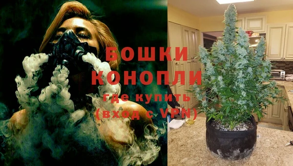 ГАЛЛЮЦИНОГЕННЫЕ ГРИБЫ Наволоки