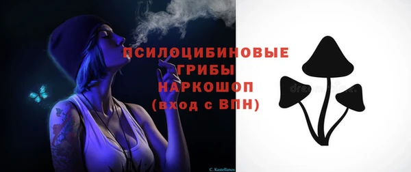 ГАЛЛЮЦИНОГЕННЫЕ ГРИБЫ Наволоки