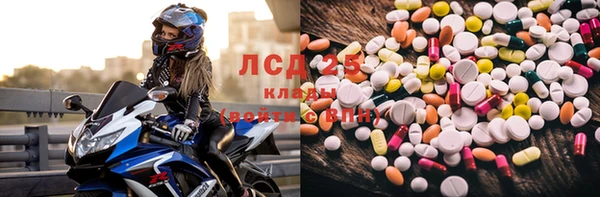 ГАЛЛЮЦИНОГЕННЫЕ ГРИБЫ Навашино
